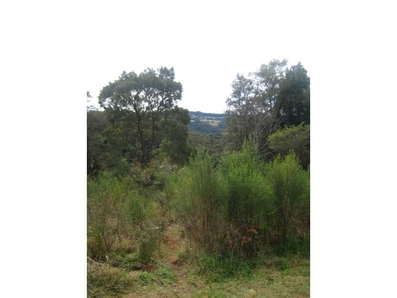 Dorrigo NSW 2453