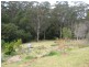 Dorrigo NSW 2453