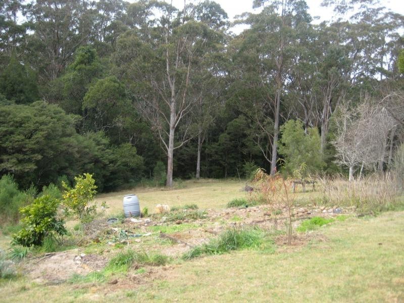 Dorrigo NSW 2453