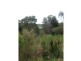 Dorrigo NSW 2453
