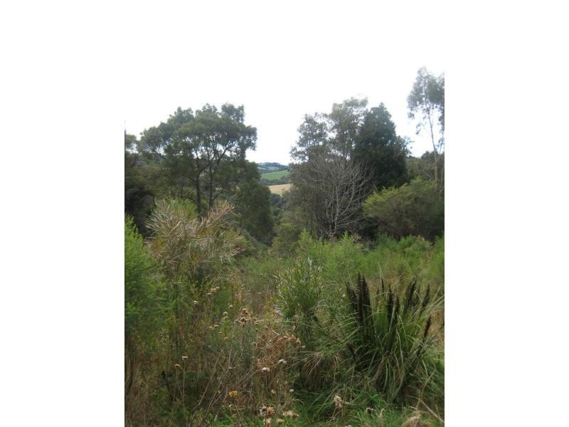 Dorrigo NSW 2453