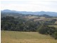 Dorrigo NSW 2453