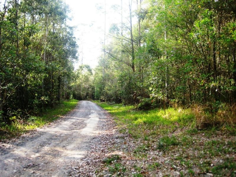 L124 Sweedmans Lane, Bellingen NSW 2454