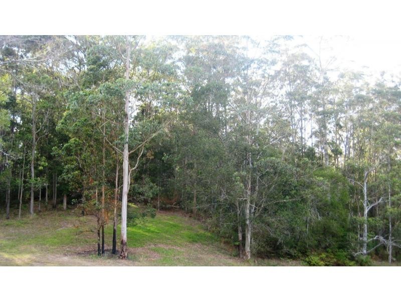 L124 Sweedmans Lane, Bellingen NSW 2454