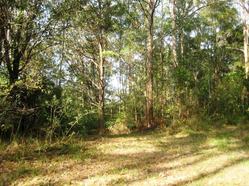 L124 Sweedmans Lane, Bellingen NSW 2454