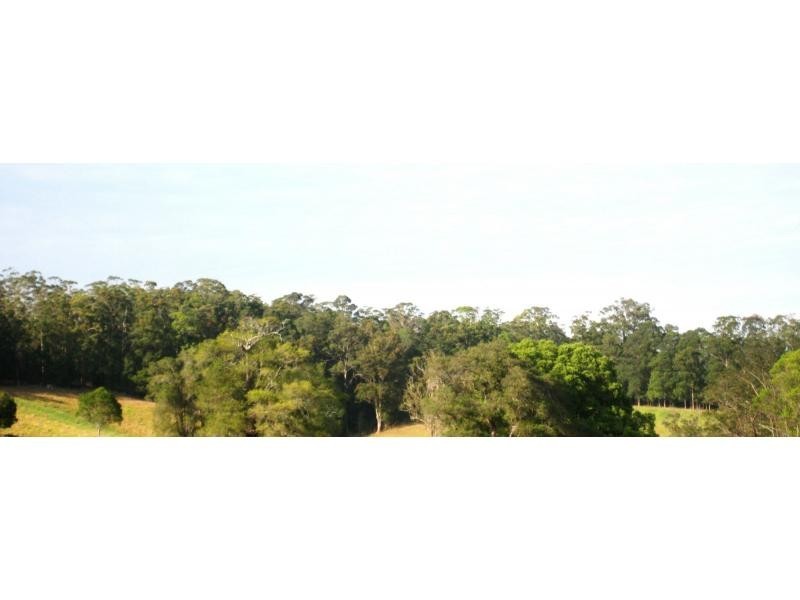 L124 Sweedmans Lane, Bellingen NSW 2454