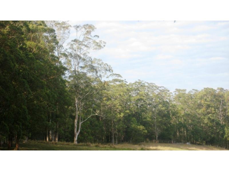 L124 Sweedmans Lane, Bellingen NSW 2454