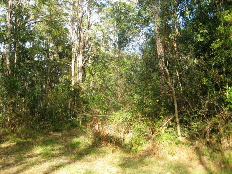 L124 Sweedmans Lane, Bellingen NSW 2454