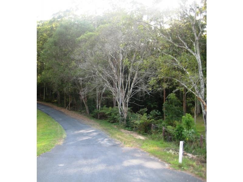 L124 Sweedmans Lane, Bellingen NSW 2454