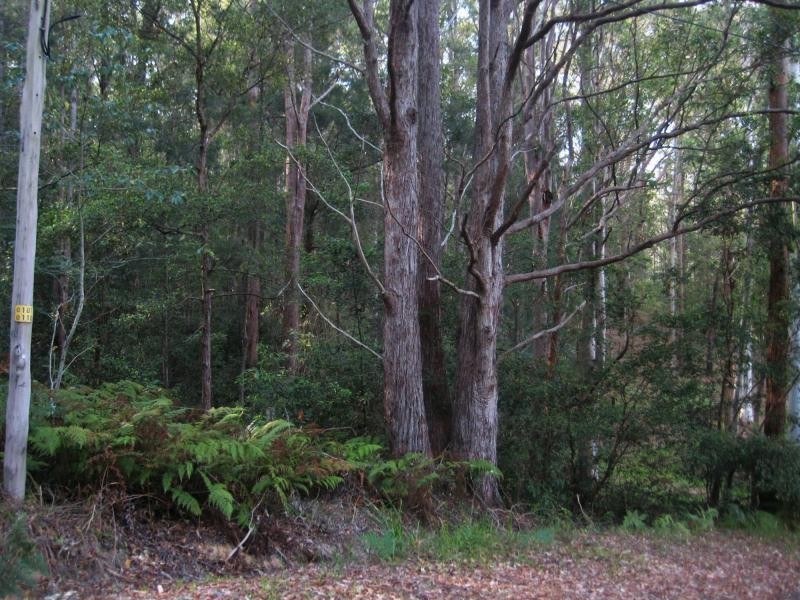 L124 Sweedmans Lane, Bellingen NSW 2454