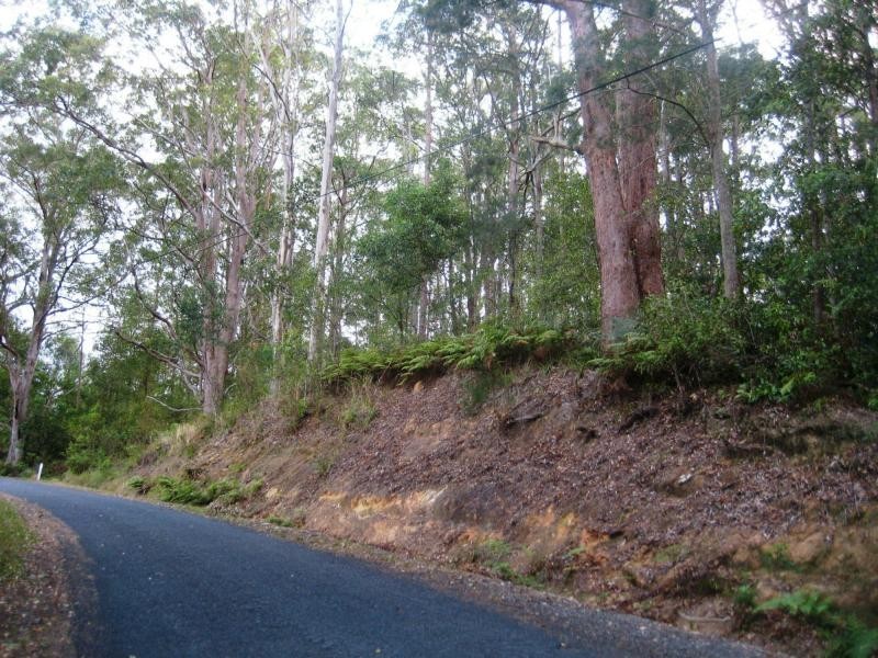 L124 Sweedmans Lane, Bellingen NSW 2454