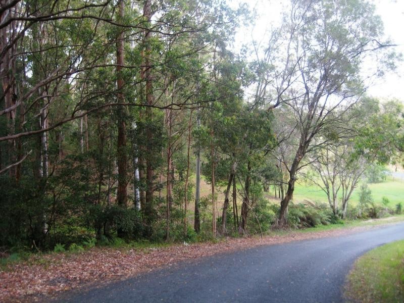 L124 Sweedmans Lane, Bellingen NSW 2454