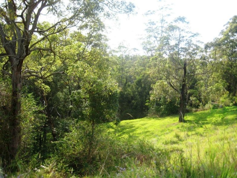 L124 Sweedmans Lane, Bellingen NSW 2454