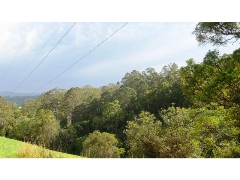L124 Sweedmans Lane, Bellingen NSW 2454
