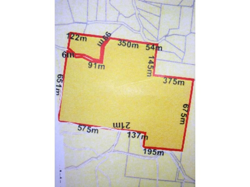 L124 Sweedmans Lane, Bellingen NSW 2454