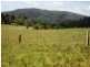 Dorrigo NSW 2453
