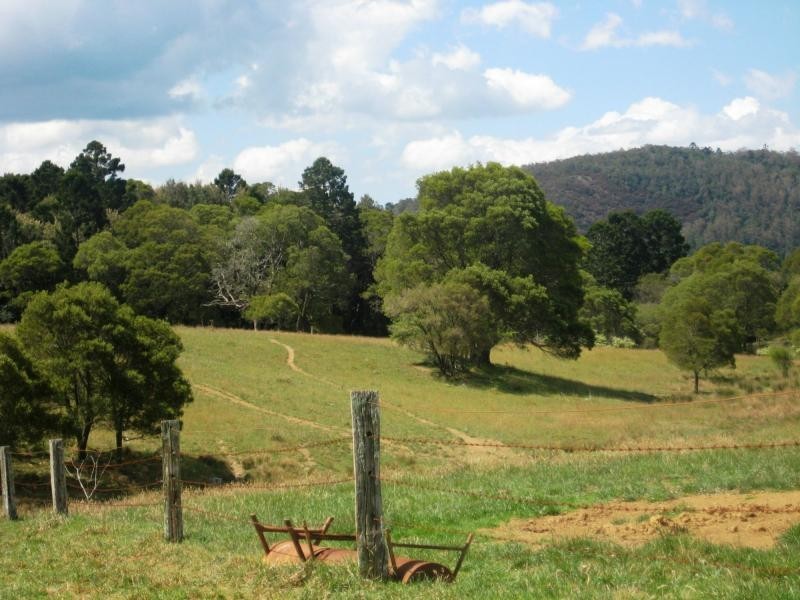 Dorrigo NSW 2453
