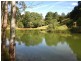 247 McIndoes Road, Deervale, Deer Vale NSW 2453