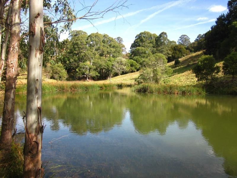 247 McIndoes Road, Deervale, Deer Vale NSW 2453
