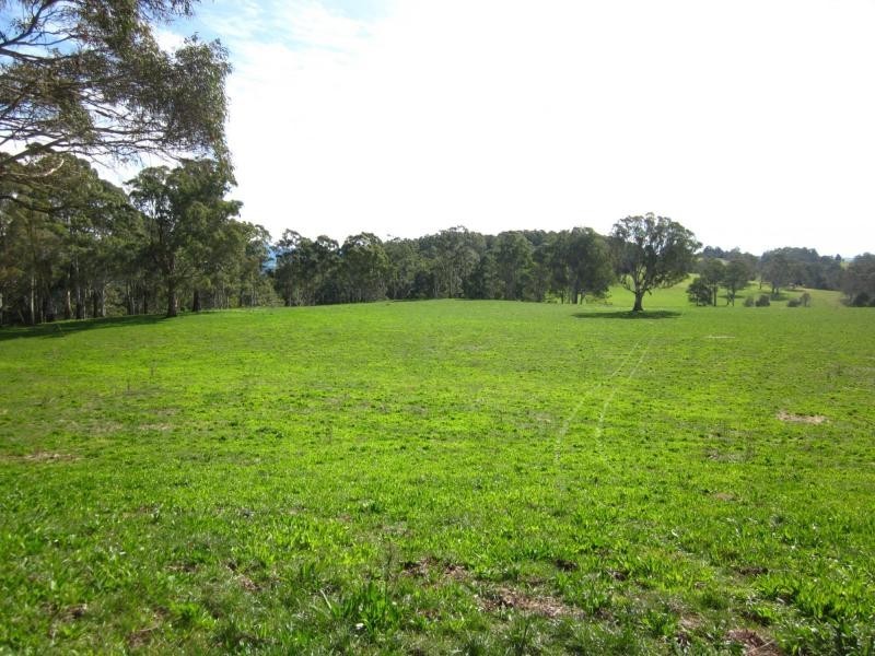 247 McIndoes Road, Deervale, Deer Vale NSW 2453