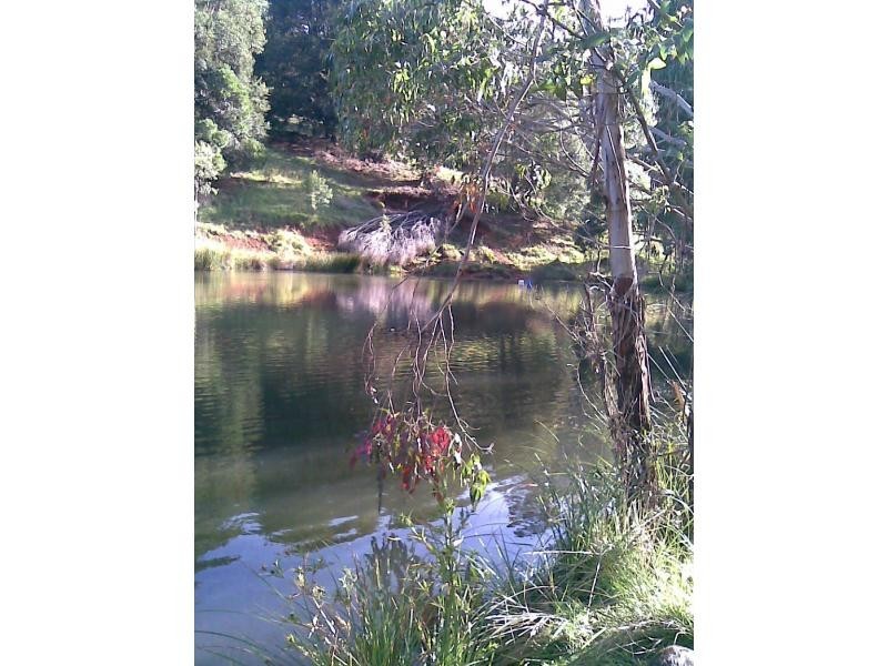 247 McIndoes Road, Deervale, Deer Vale NSW 2453