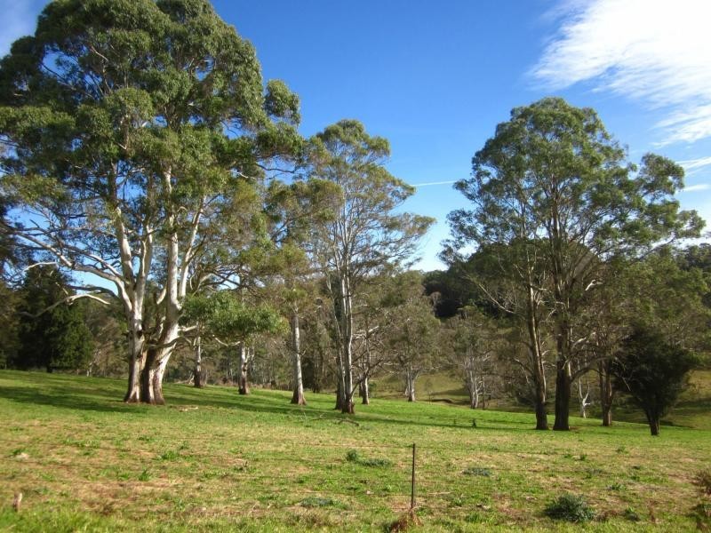 247 McIndoes Road, Deervale, Deer Vale NSW 2453