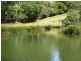 247 McIndoes Road, Deervale, Deer Vale NSW 2453