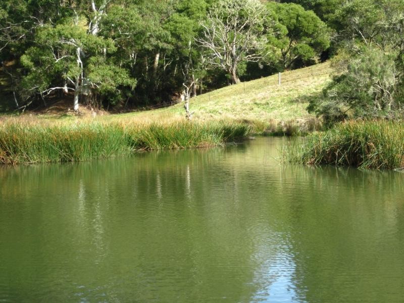 247 McIndoes Road, Deervale, Deer Vale NSW 2453