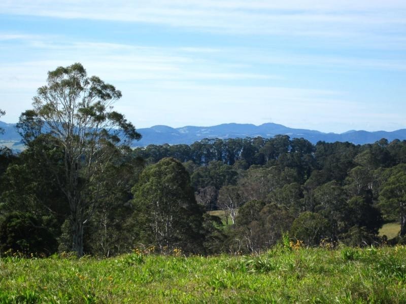 247 McIndoes Road, Deervale, Deer Vale NSW 2453