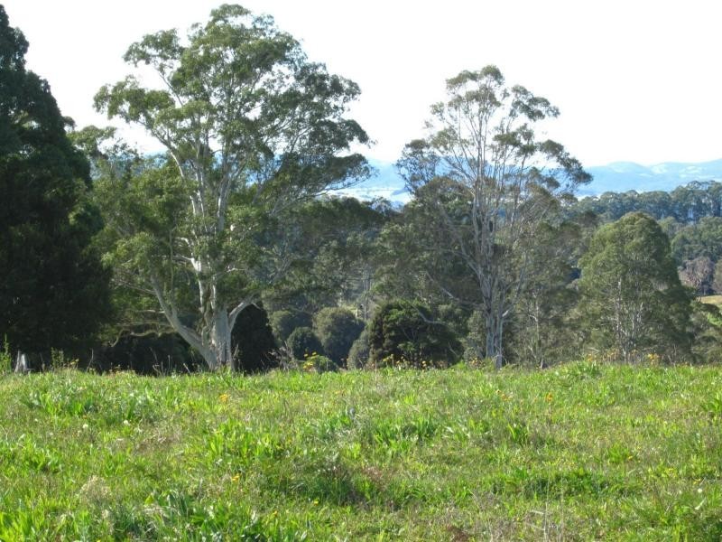 247 McIndoes Road, Deervale, Deer Vale NSW 2453