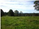 247 McIndoes Road, Deervale, Deer Vale NSW 2453
