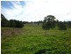247 McIndoes Road, Deervale, Deer Vale NSW 2453