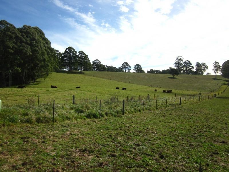 247 McIndoes Road, Deervale, Deer Vale NSW 2453