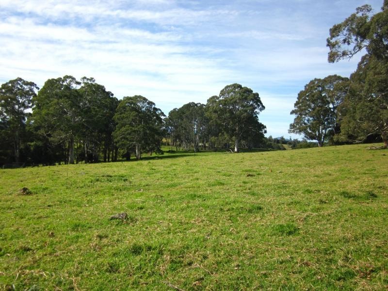 247 McIndoes Road, Deervale, Deer Vale NSW 2453