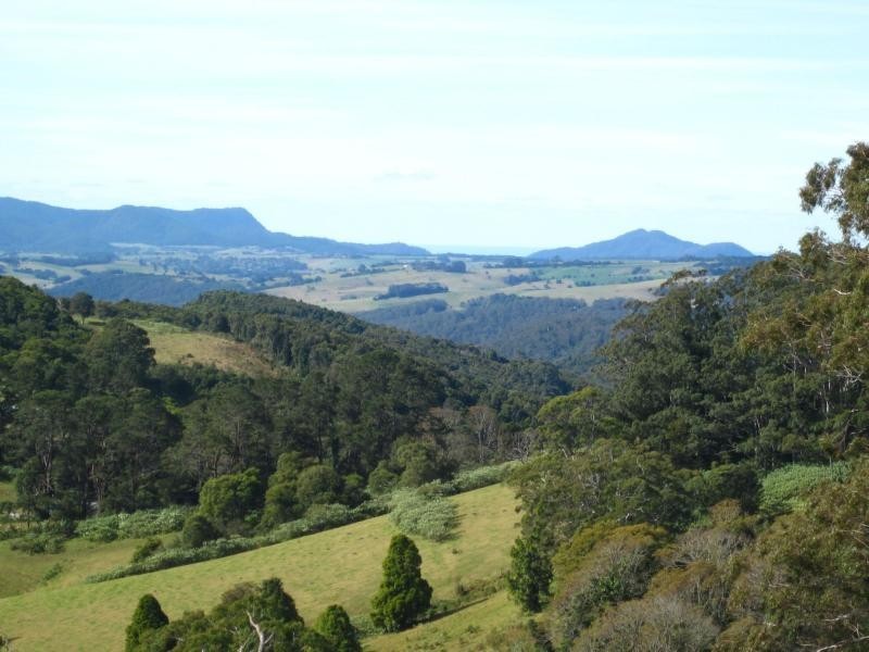 247 McIndoes Road, Deervale, Deer Vale NSW 2453