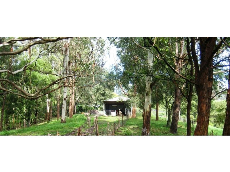 112 McIndoes Road, Deervale, Dorrigo NSW 2453