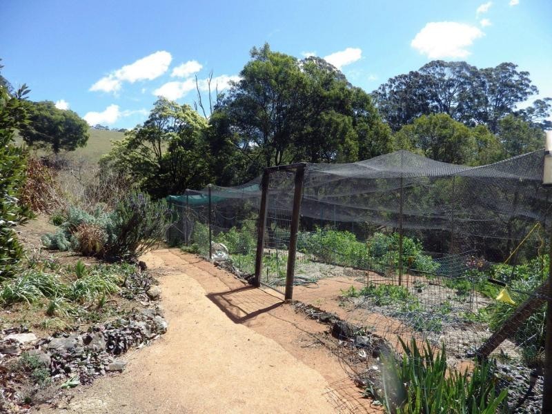 112 McIndoes Road, Deervale, Dorrigo NSW 2453