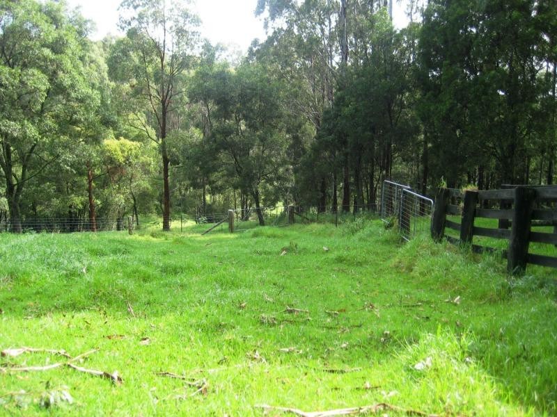 112 McIndoes Road, Deervale, Dorrigo NSW 2453
