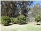 112 McIndoes Road, Deervale, Dorrigo NSW 2453