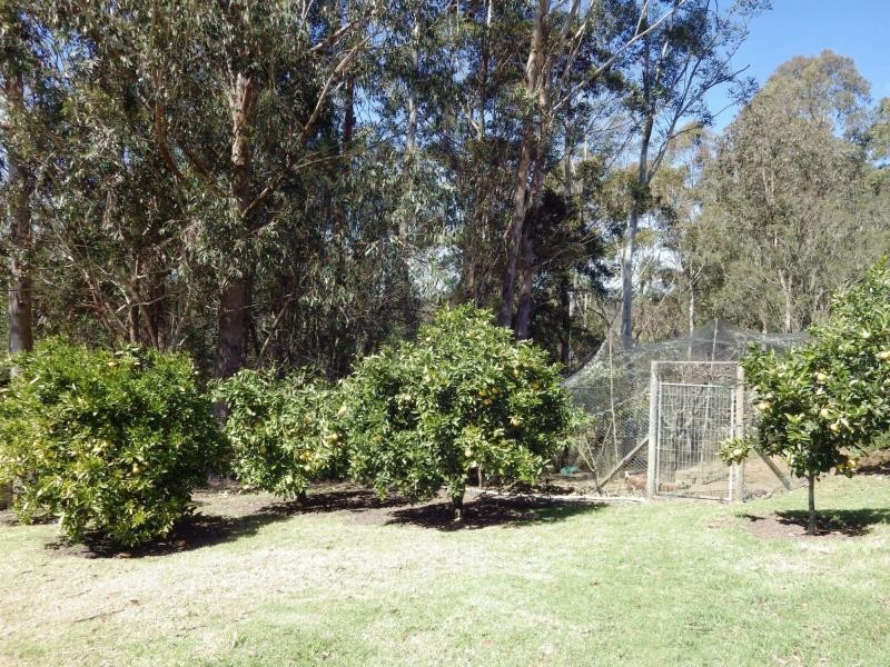 112 McIndoes Road, Deervale, Dorrigo NSW 2453