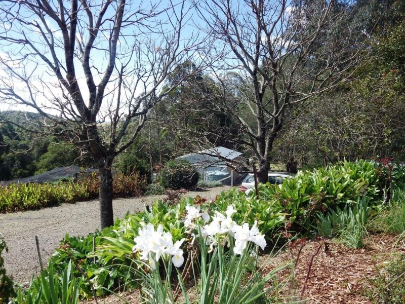 112 McIndoes Road, Deervale, Dorrigo NSW 2453