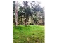 112 McIndoes Road, Deervale, Dorrigo NSW 2453