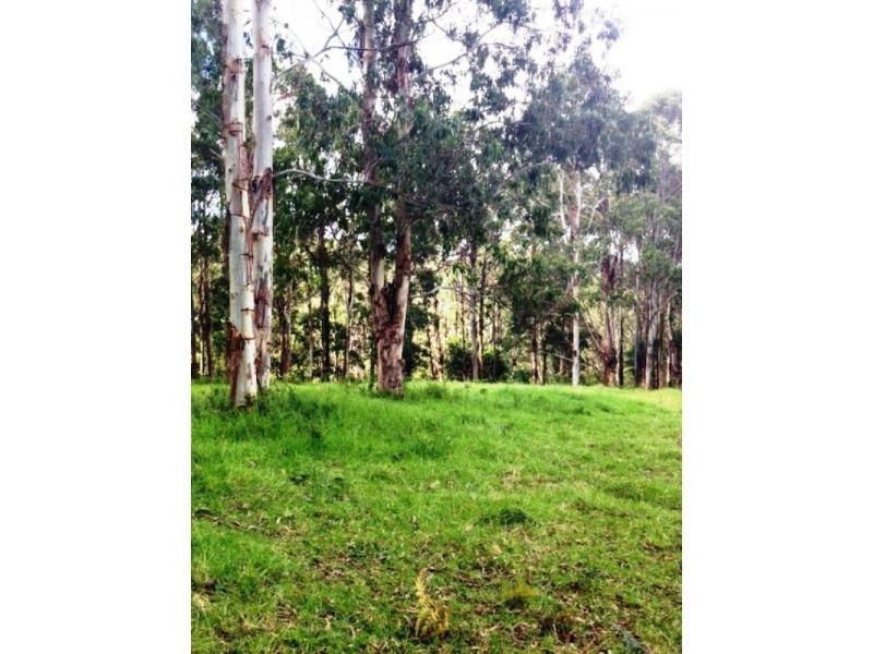 112 McIndoes Road, Deervale, Dorrigo NSW 2453