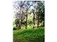 112 McIndoes Road, Deervale, Dorrigo NSW 2453