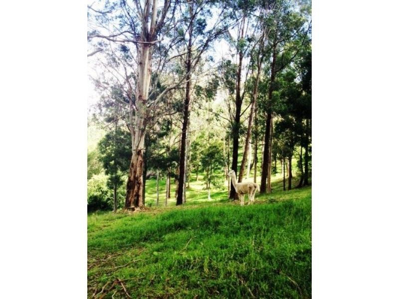112 McIndoes Road, Deervale, Dorrigo NSW 2453