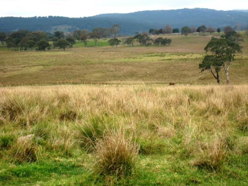 Wollomombi NSW 2350