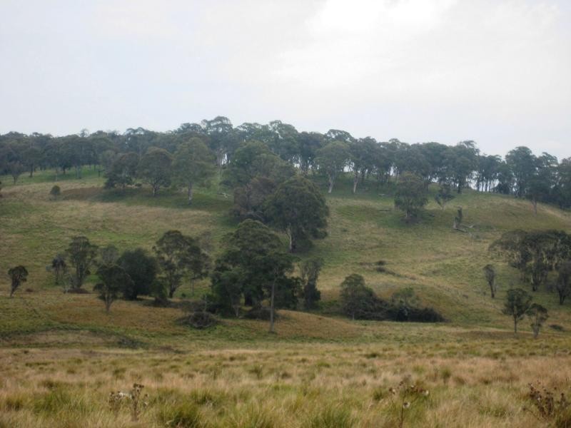 Wollomombi NSW 2350