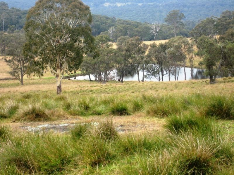 Wollomombi NSW 2350