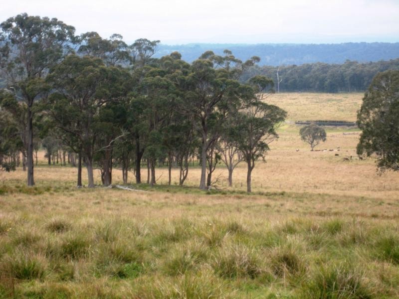 Wollomombi NSW 2350