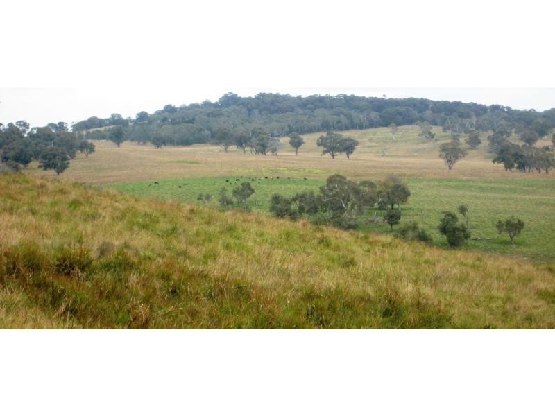 Wollomombi NSW 2350